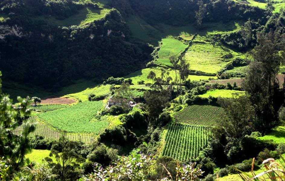 Campesino landsacape, Nariño department. Photographer: Ana Prada.