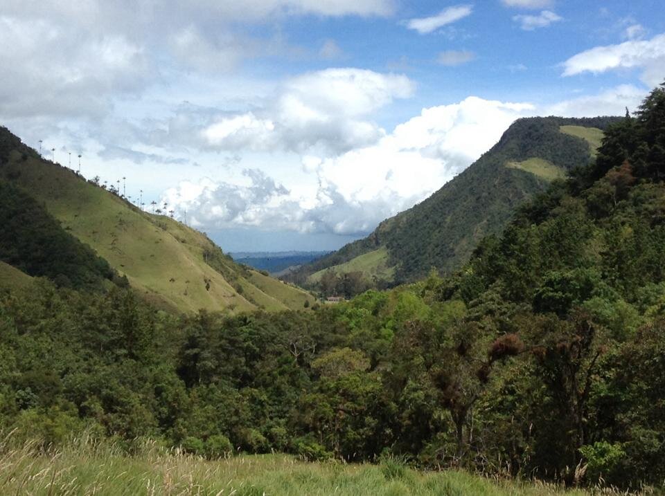 Cocora Valley, Quindio department. Photographer: Ana Prada.