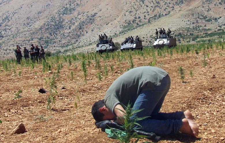Lebanon Battles for Cannabis Legalization (By Yeghia Tashjian)