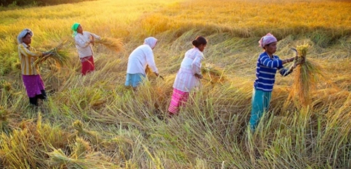 The time for Economies of Care has come! (By Ana Prada)