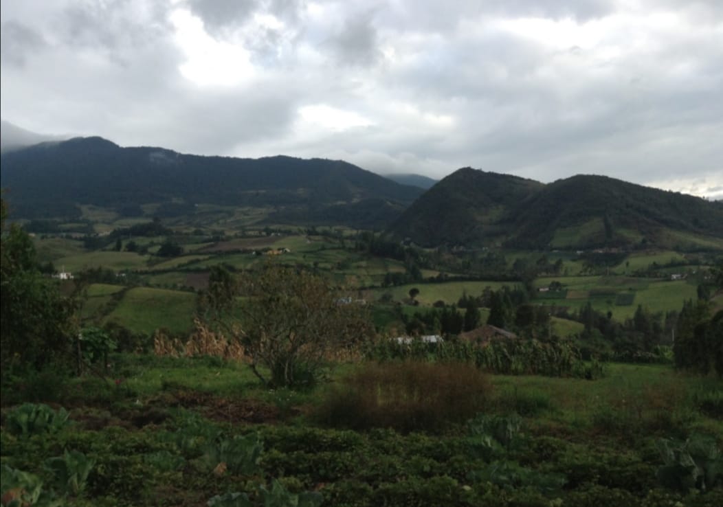 Alternatives to protect the lives of young people (By Ana Prada)