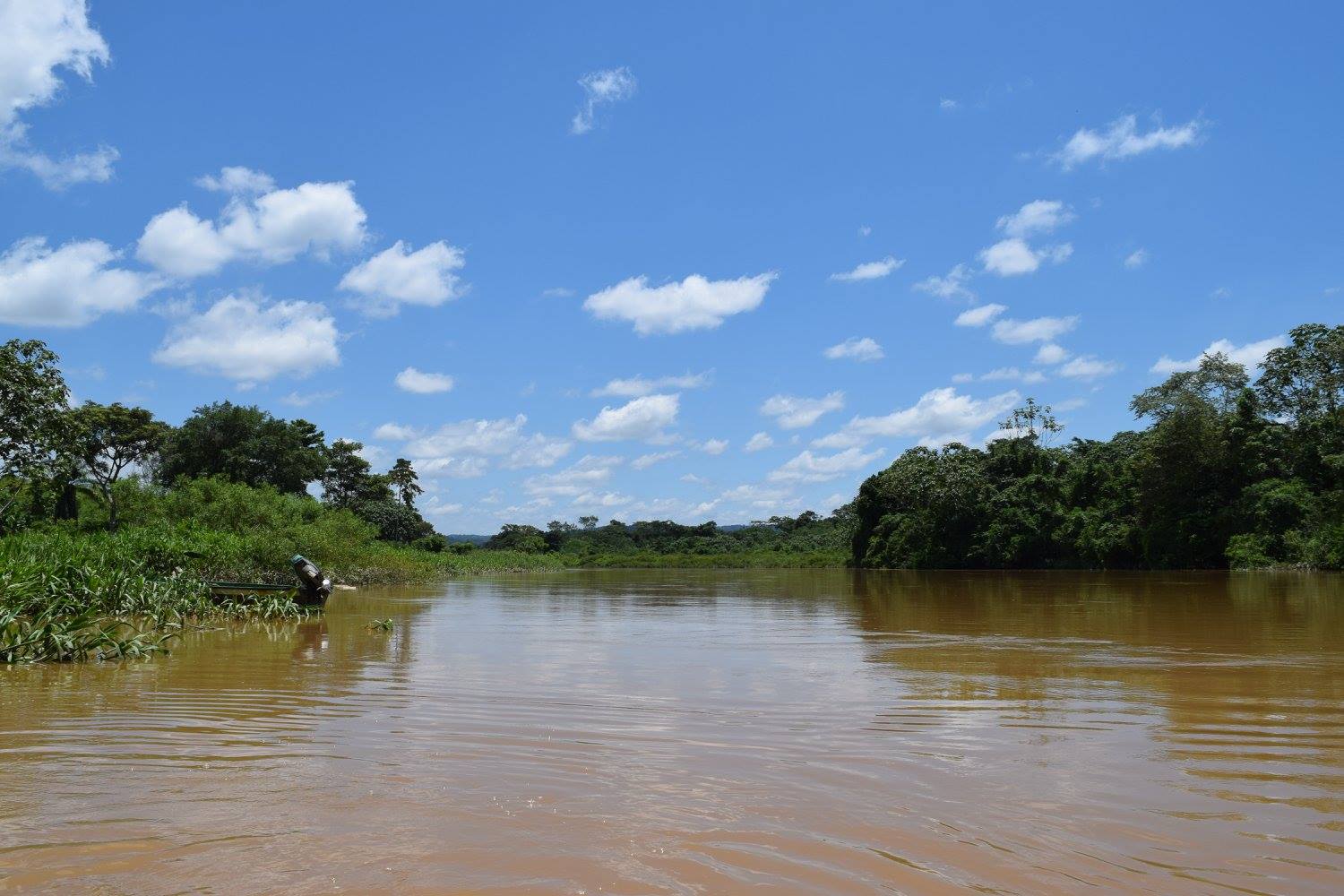 Equitable innovations and legitimate political models (By Ana Prada)