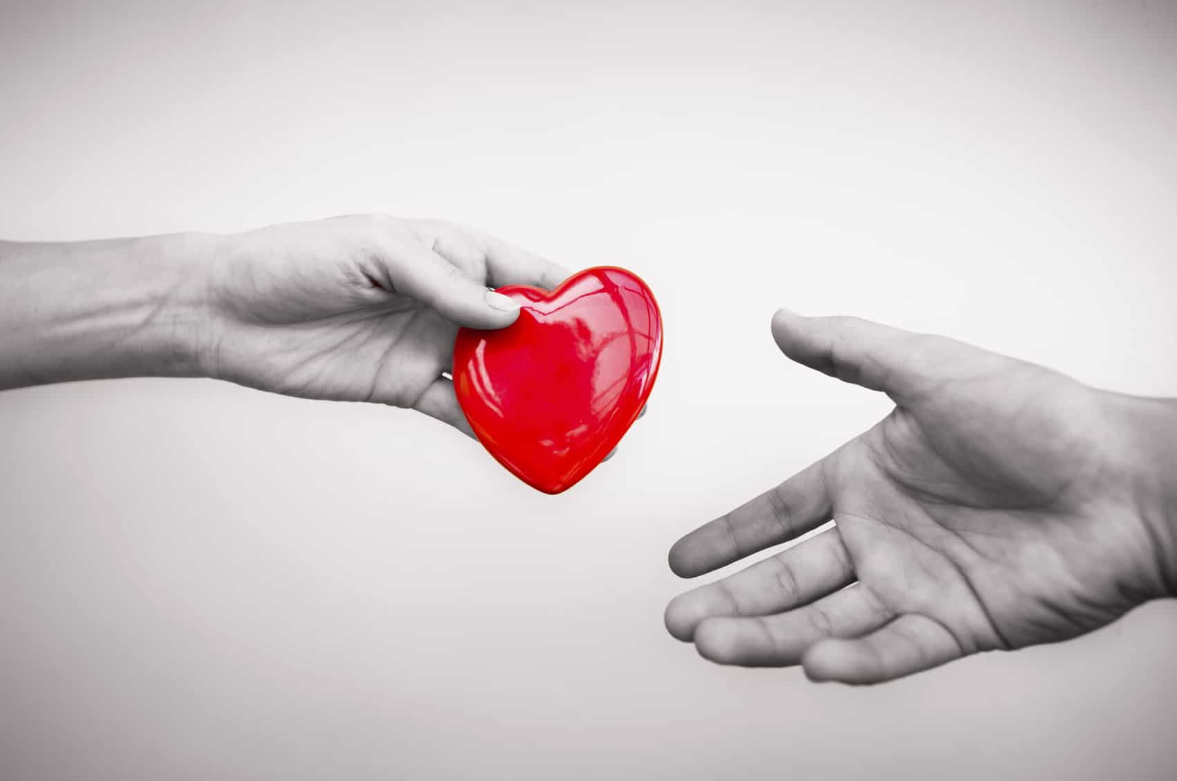 Organ Donation Can Save Lives Including Your Own (By Christiane Waked)